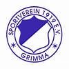 SV 1919 Grimma (Aufsteiger LL Sachsen)