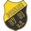 Bornaer SV 91