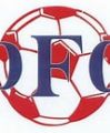 DFC Westsachsen Zwickau (Aufsteiger Süd)