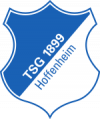 TSG Hoffenheim (Aufsteiger RL Süd)