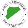 SpVgg Falkenstein