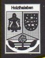 TSV 1908 Holzthaleben (Aufsteiger LK West- während der Saison zurückgezogen)