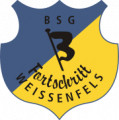 BSG Schuhmetro Weißenfels (hier BSG Fortschritt)