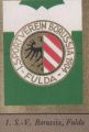 1.SV Borussia Fulda *